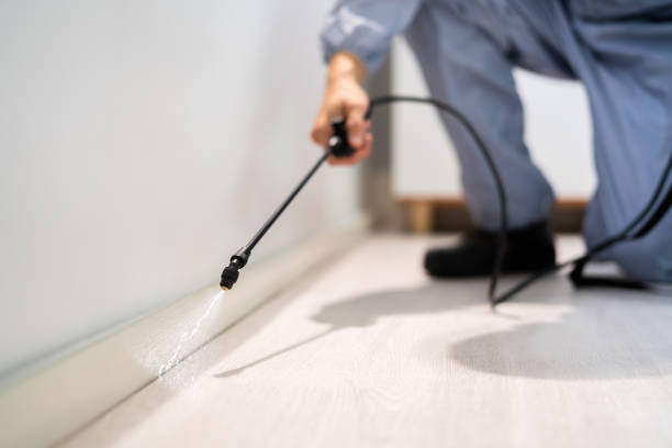 Licensed Termite Control service in Wheelersburg, OH - Show Me Pest Control