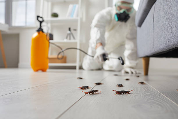 Commercial Rodent Management in Wheelersburg